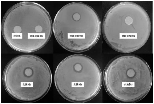 Functional mulberry leaf oligosaccharide and preparation method and application thereof