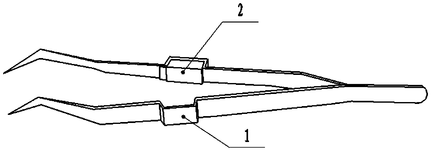 Dental forceps with light-emitting diodes (LED)