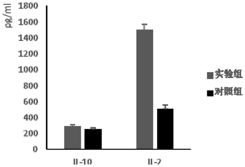 Therapeutic DC compound vaccine against herpes simplex virus and preparation method thereof