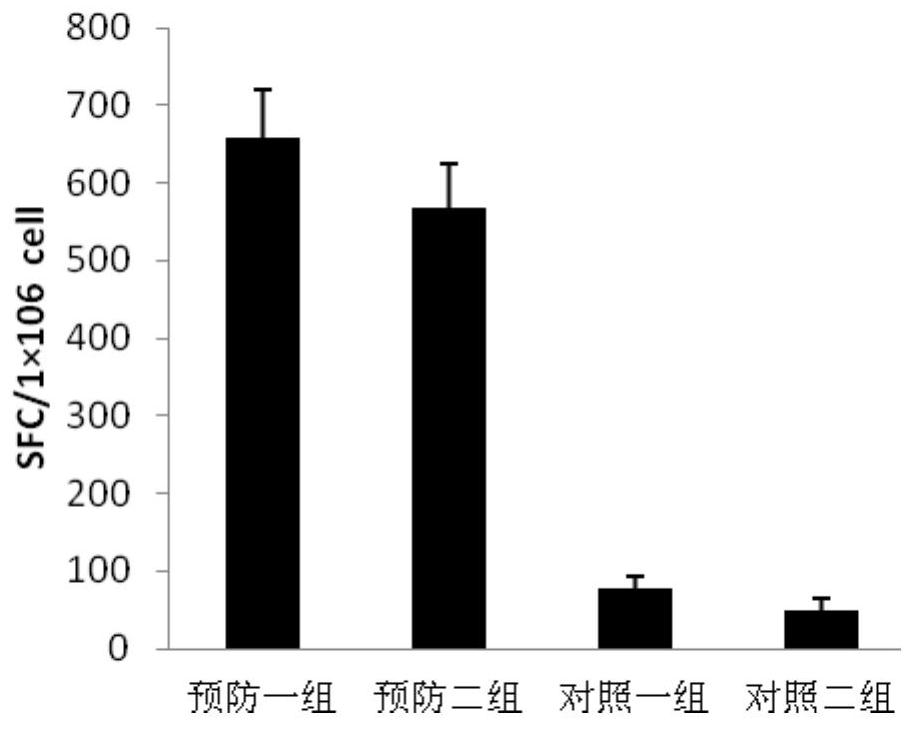 Therapeutic DC compound vaccine against herpes simplex virus and preparation method thereof