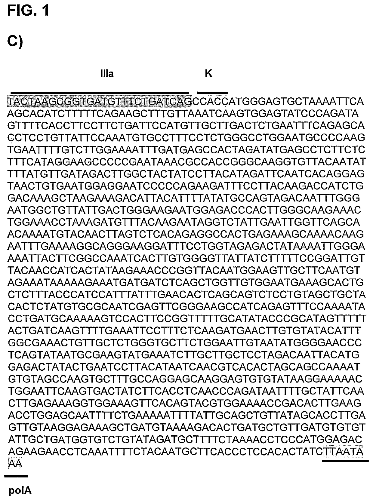 Oncolytic adenoviruses for treating cancer