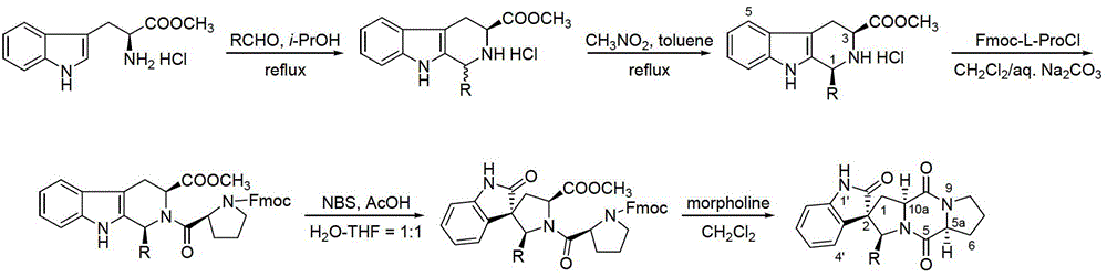 A kind of spirocyclic indole diketopiperazine alkaloid and its synthesis method and application