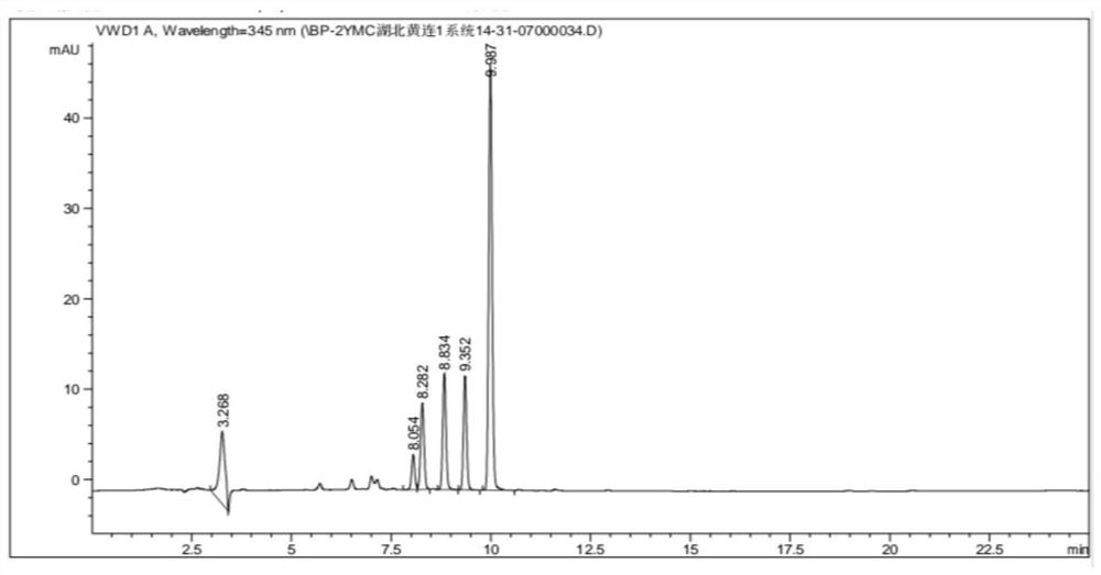 Extraction method and detection method of alkaloids in coptis