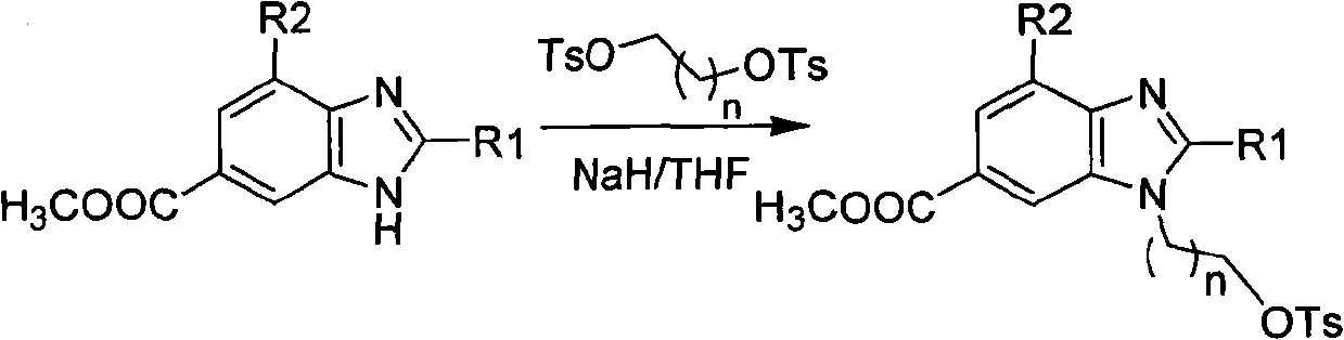 Novel 18F labeled substituted benzimidazole compounds, preparation method thereof and PET tumor imaging application