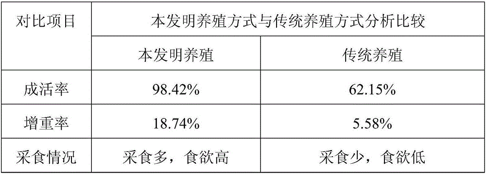 Method for breeding metapenaeus ensis in rice field