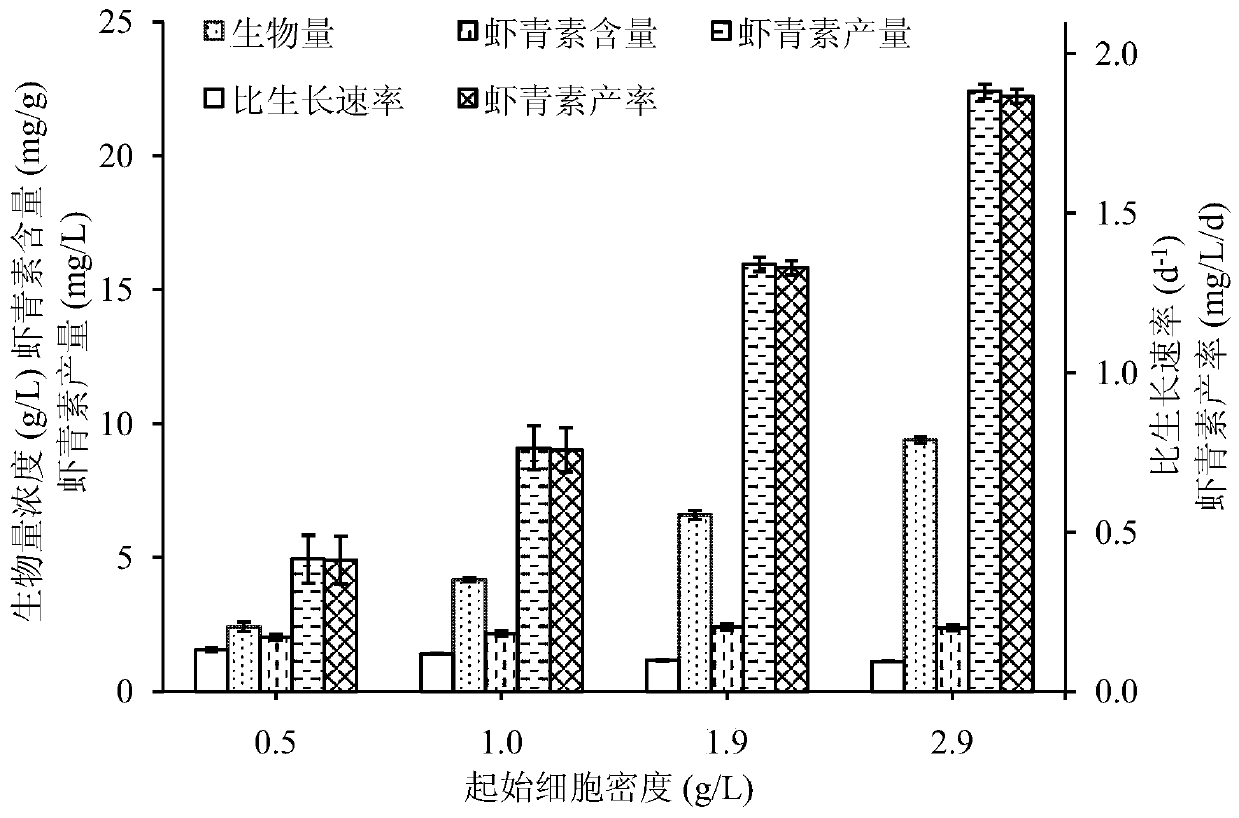 A method for inducing Chlorophyll algae to efficiently synthesize astaxanthin