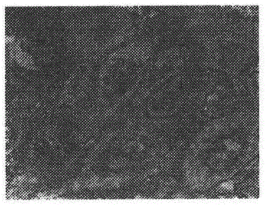 Cell microscopic imaging method, image processing method and imaging analysis system