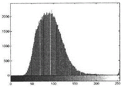 Cell microscopic imaging method, image processing method and imaging analysis system