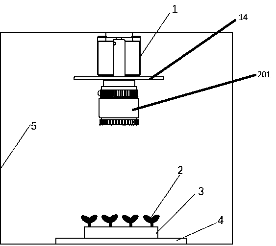 Plant chlorophyll fluorescence parameter correction method and device