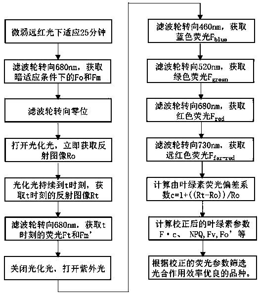 Plant chlorophyll fluorescence parameter correction method and device