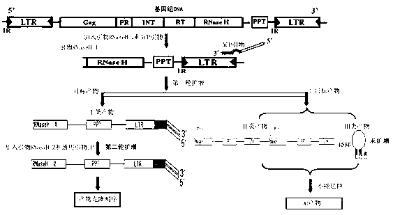 Method for separating long terminal repeats of retrotransposons