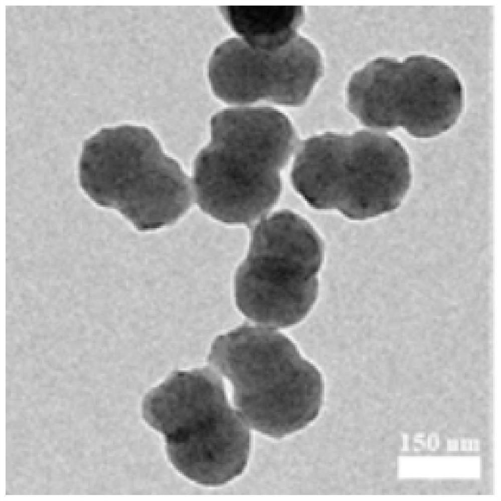 Janus structure polymer-based nano-metal catalyst as well as preparation method and application thereof