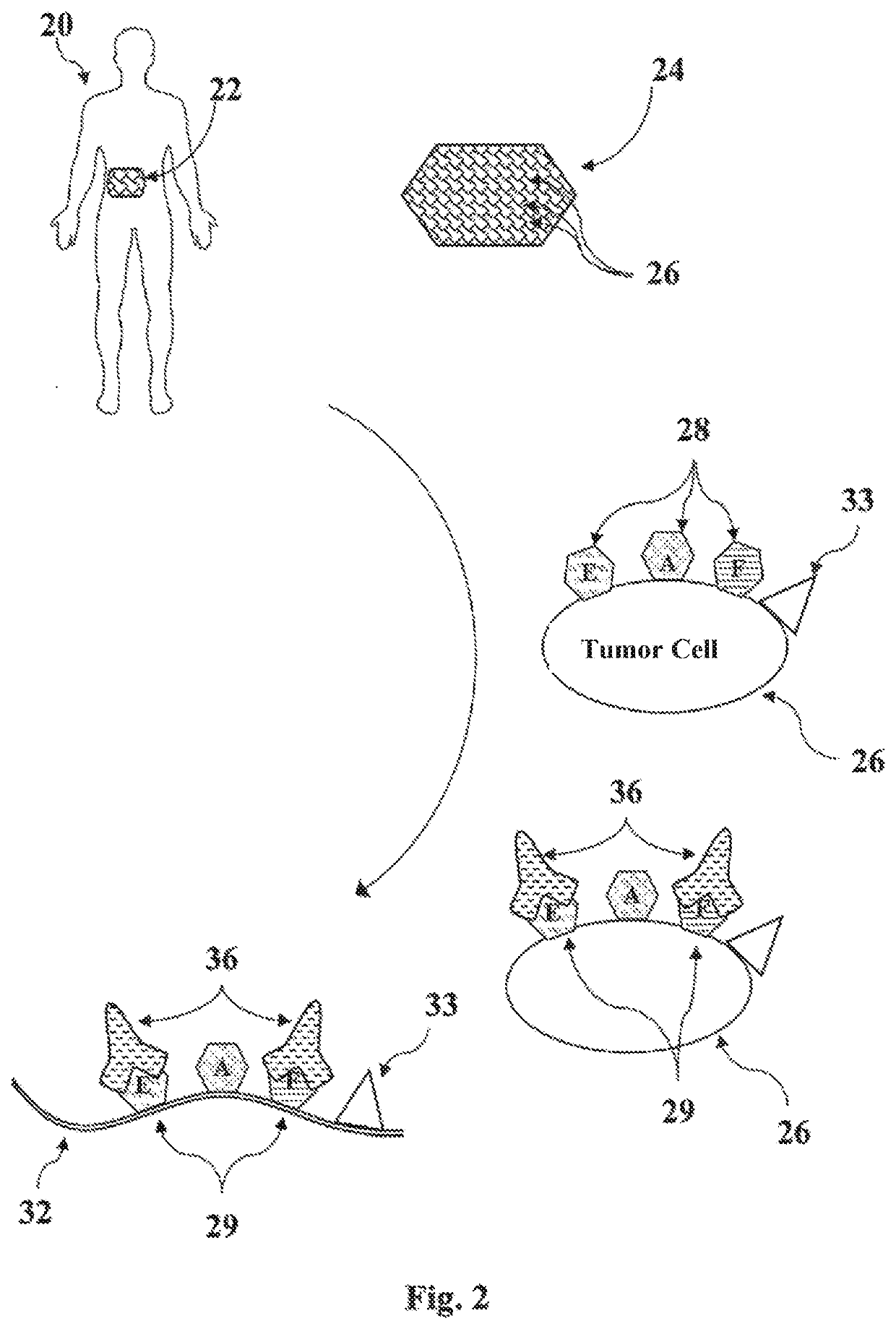 Vaccine for Malignant Tumor Treatment