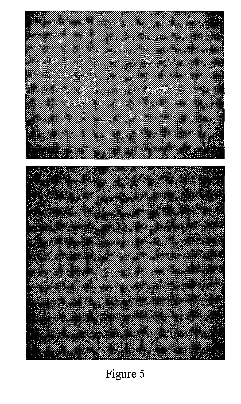 pH SENSITIVE NANOPARTICLE FORMULATION FOR ORAL DELIVERY OF PROTEINS/PEPTIDES