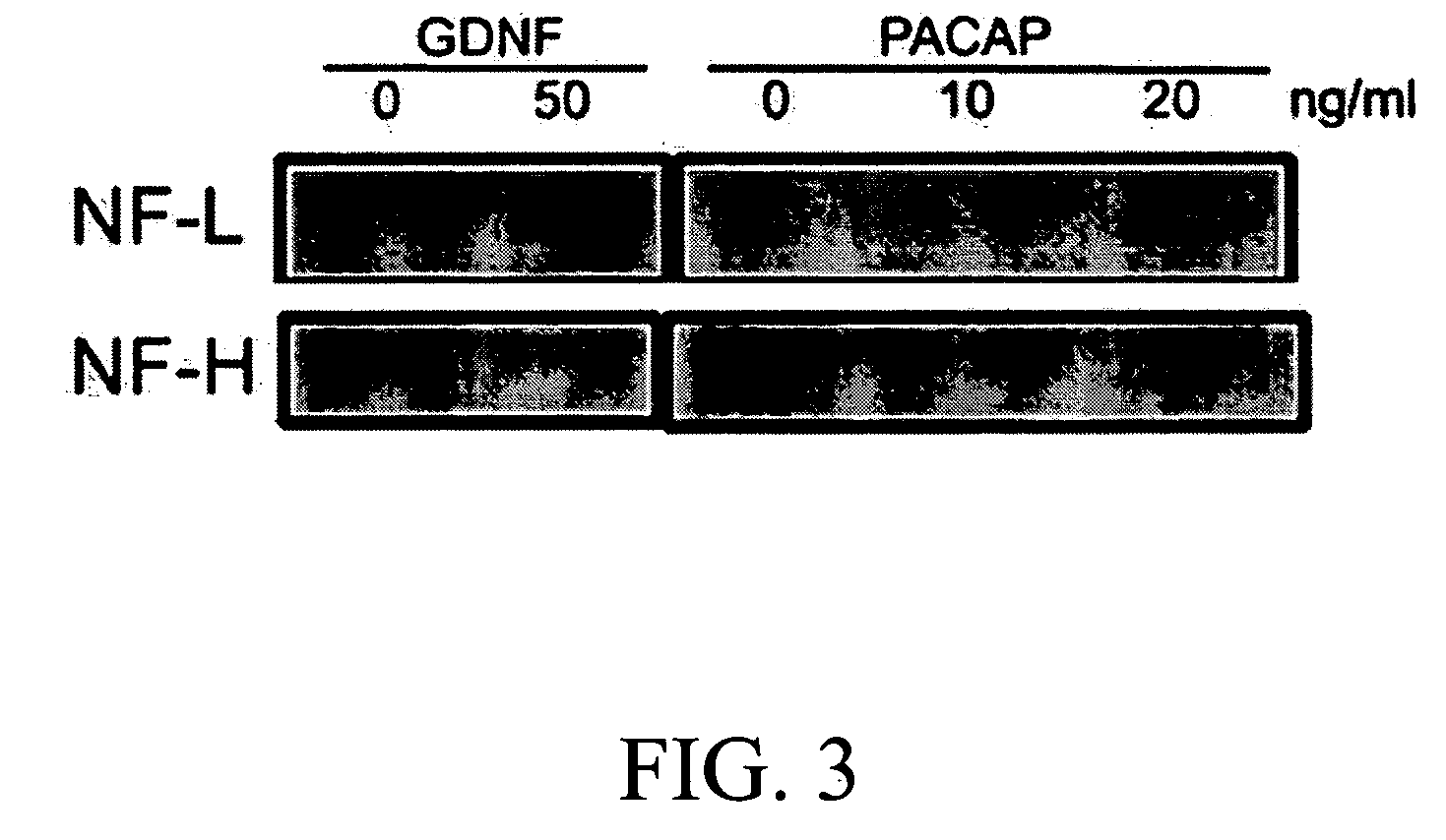 Method for inducing neural differentiation