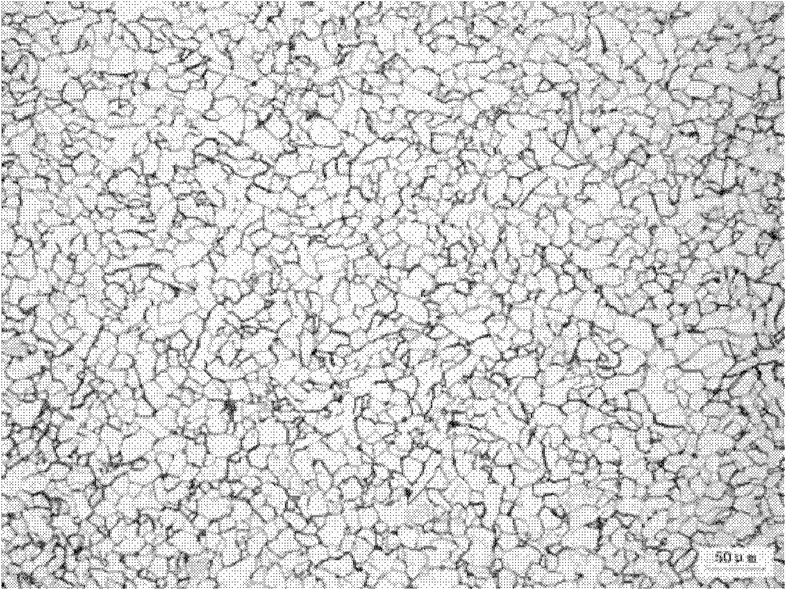 Method for preparing hot rolling strip steel capable of preventing edge crack of extremely thin rolled strip steel