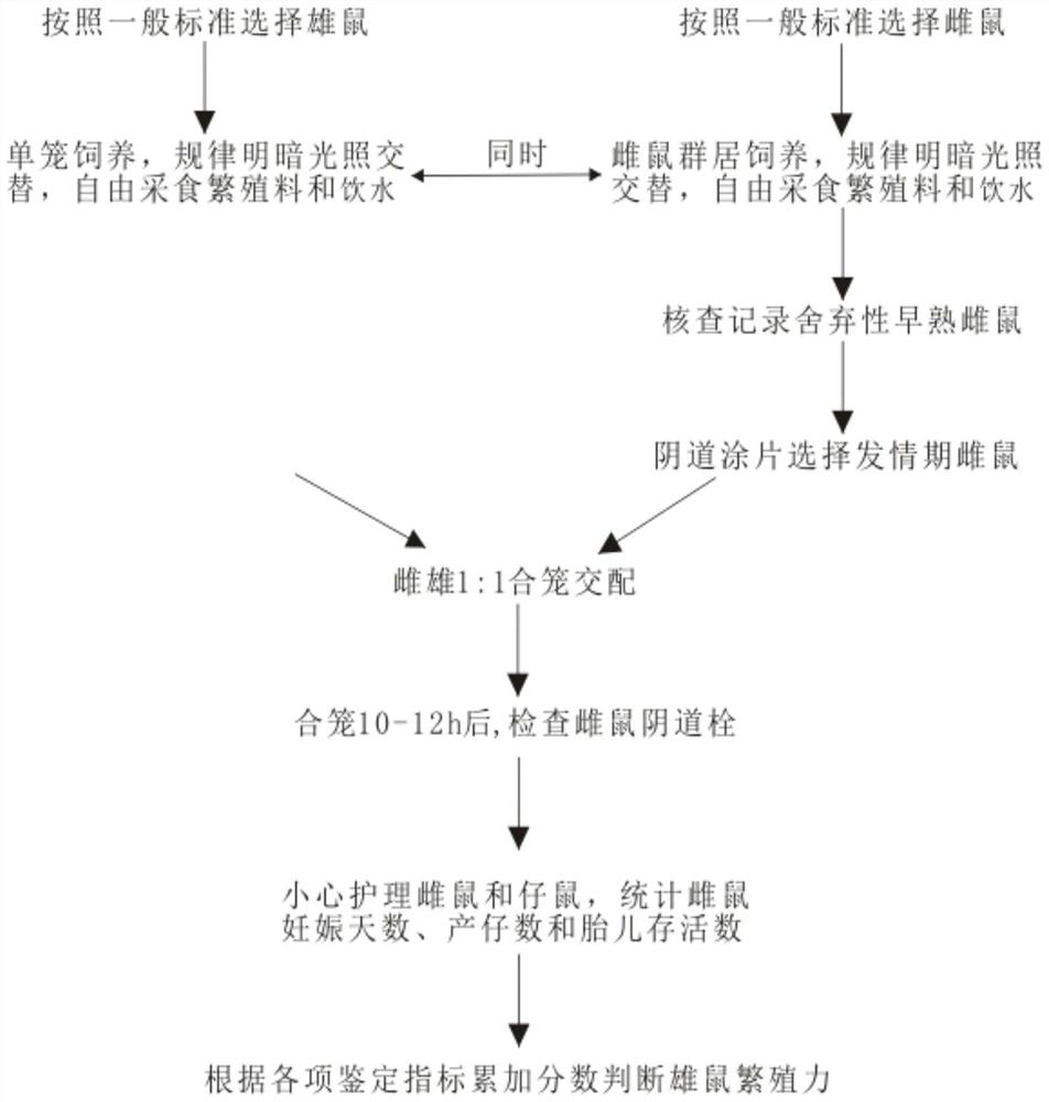 A method for comprehensive evaluation of fecundity of male mice