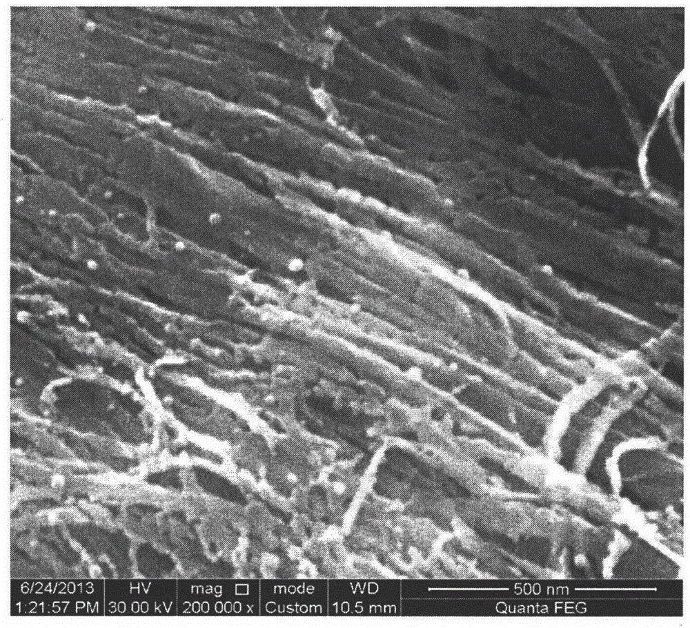 Preparation method and use method of CuS modified immobilized TiO2 nanoribbon photocatalyst