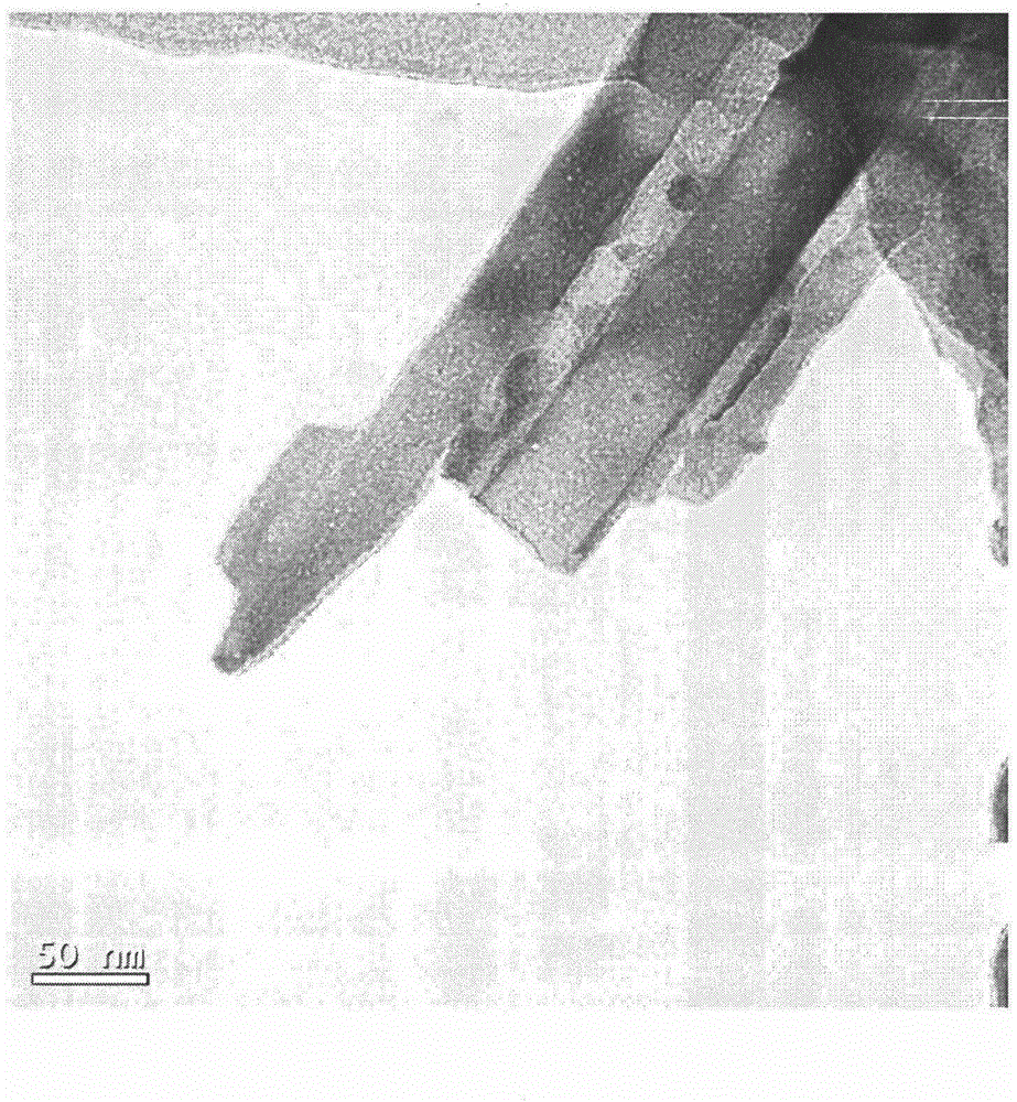 Preparation method and use method of CuS modified immobilized TiO2 nanoribbon photocatalyst