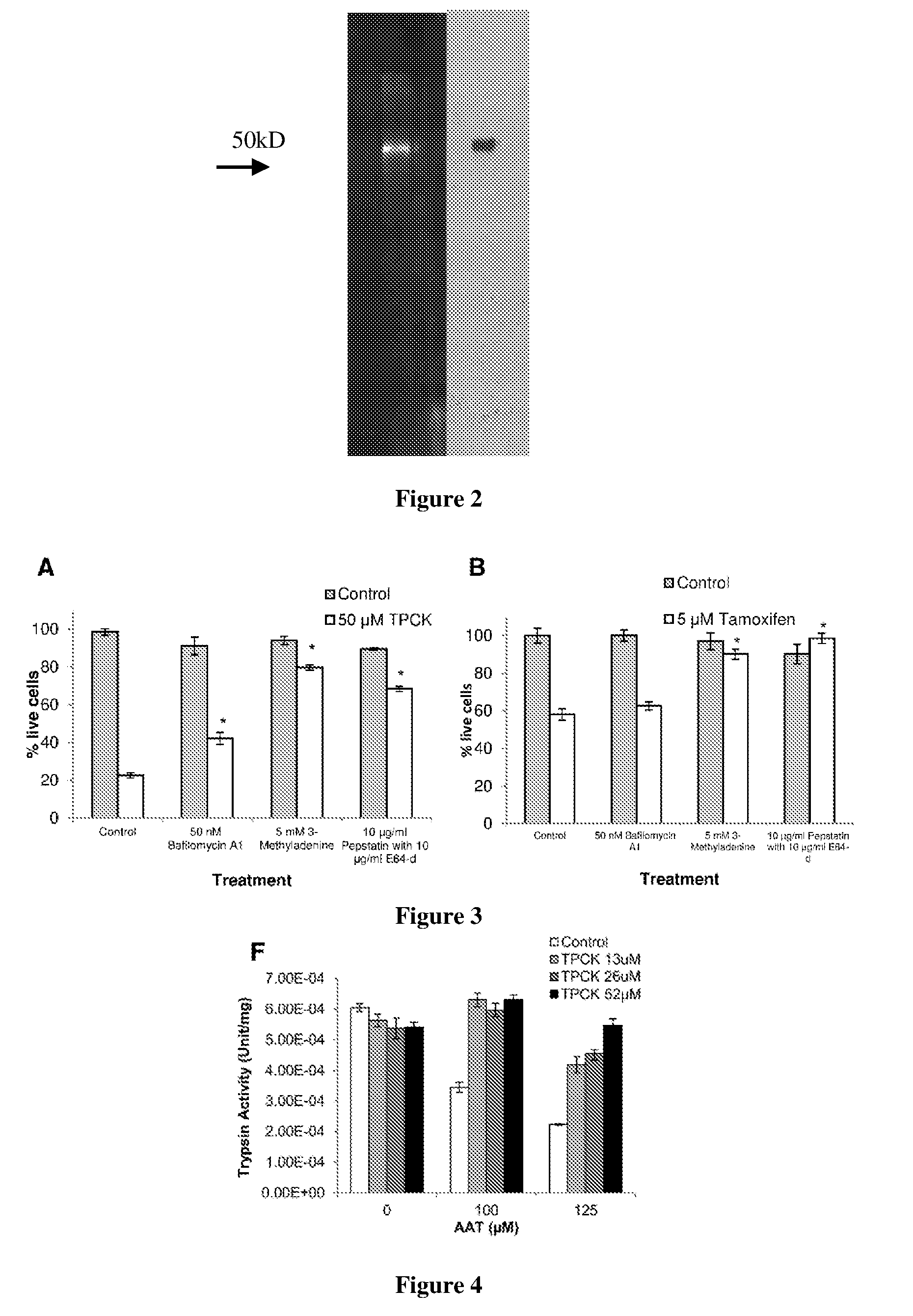 Compositions and methods for modulating autophagic cell death