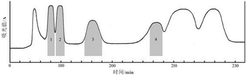 Method for separating alkaloids compound in caulis mahoniae by high-speed countercurrent chromatography