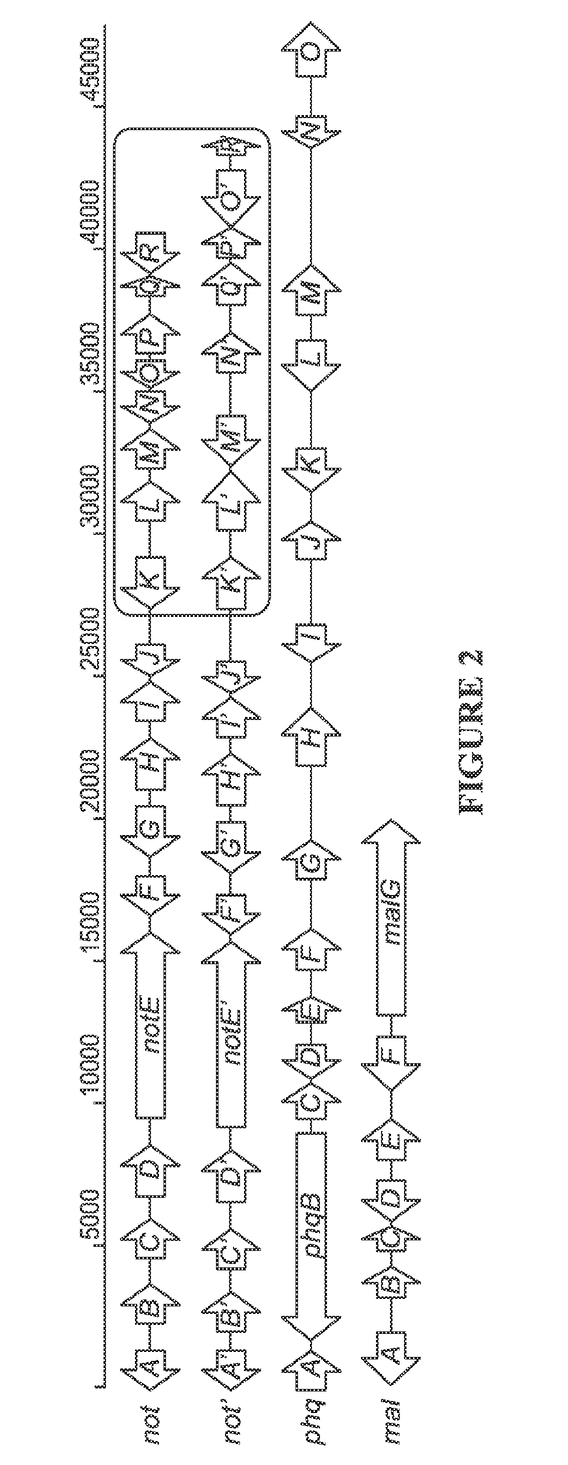 Biosynthetic Systems Producing Fungal Indole Alkaloids