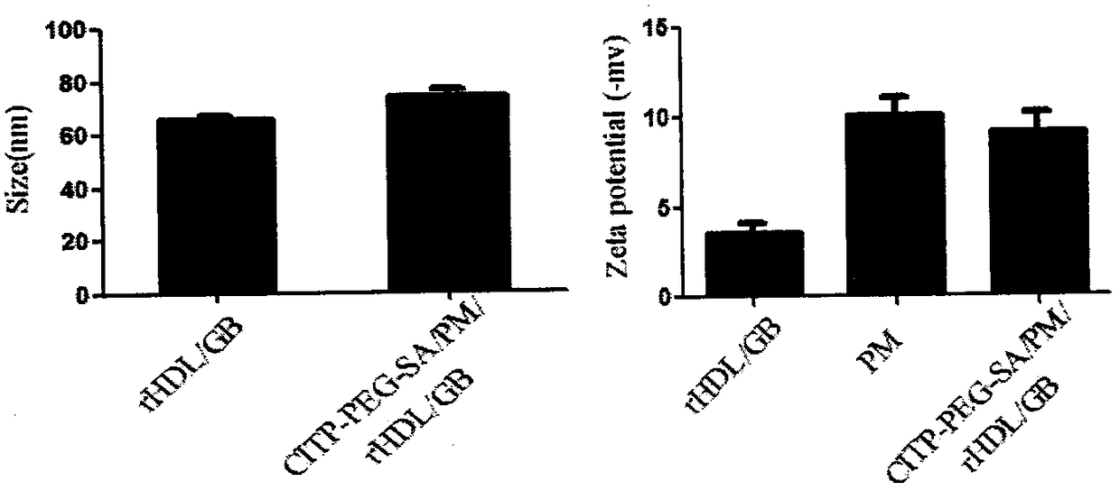 Preparation and applications of biologically camouflaged targeting nano drug delivering system for treating ischemic cerebral stroke