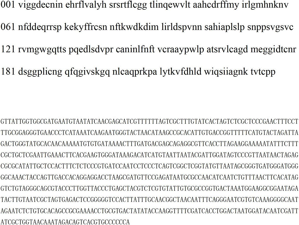 Gene sequence and amino acid sequence of snake venom plasmin of agkistrodon blomhoffii ussurensis