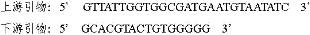 Gene sequence and amino acid sequence of snake venom plasmin of agkistrodon blomhoffii ussurensis