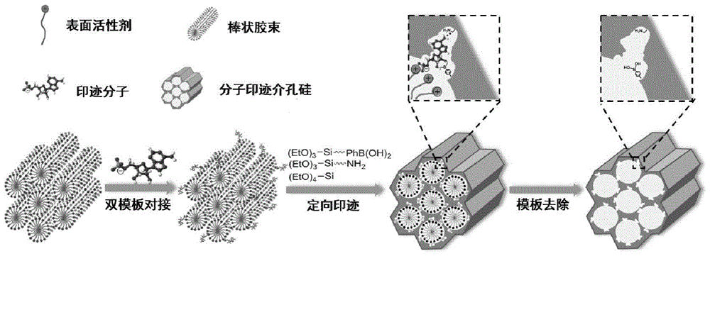 Synthesis method and application of molecularly imprinted mesoporous material