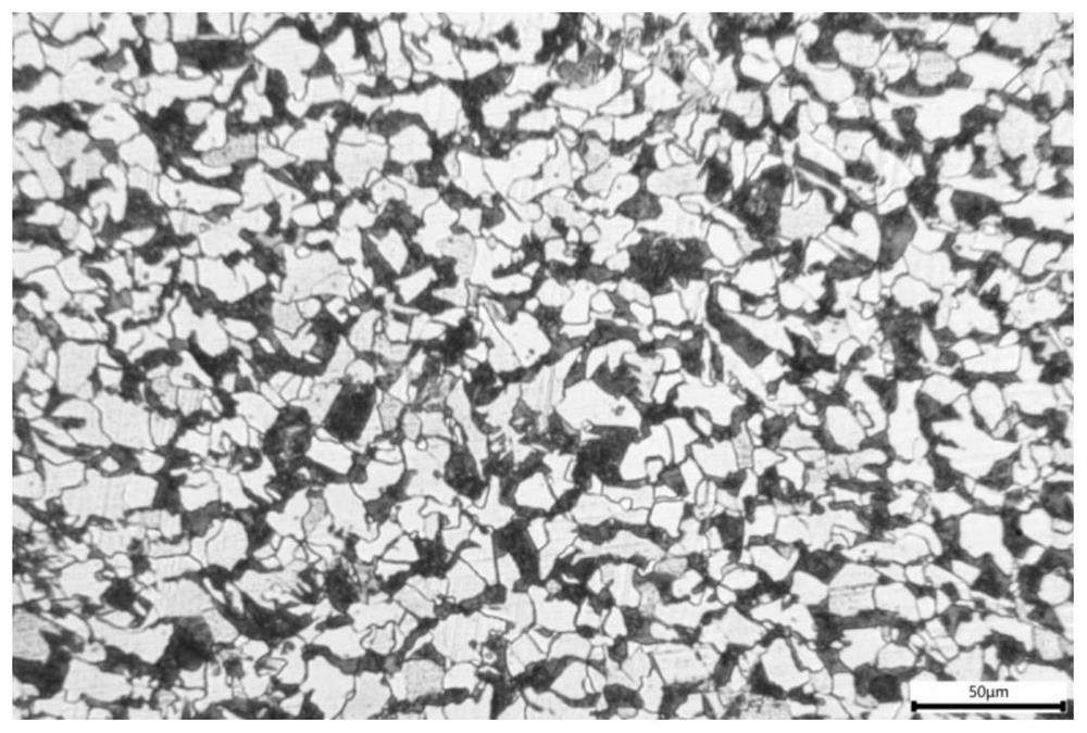 Low-alloy high-strength corrosion-resistant steel bar and preparation method thereof