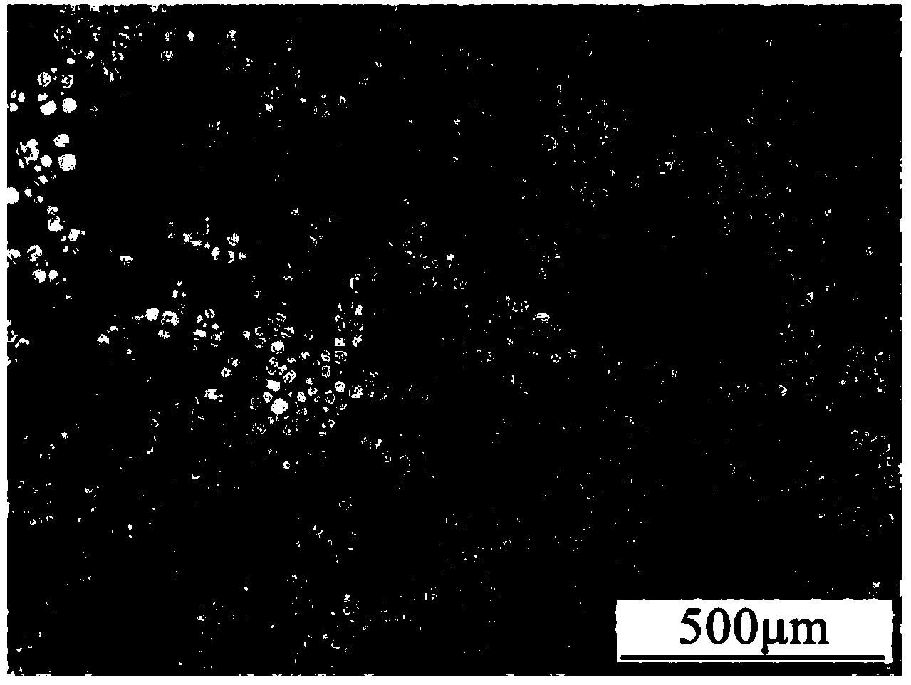 Preparation method of semisolid slurry of rare earth magnesium alloy