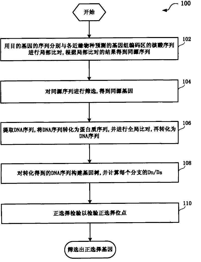 Method and system for detection of phenotype genes and analysis of biological information