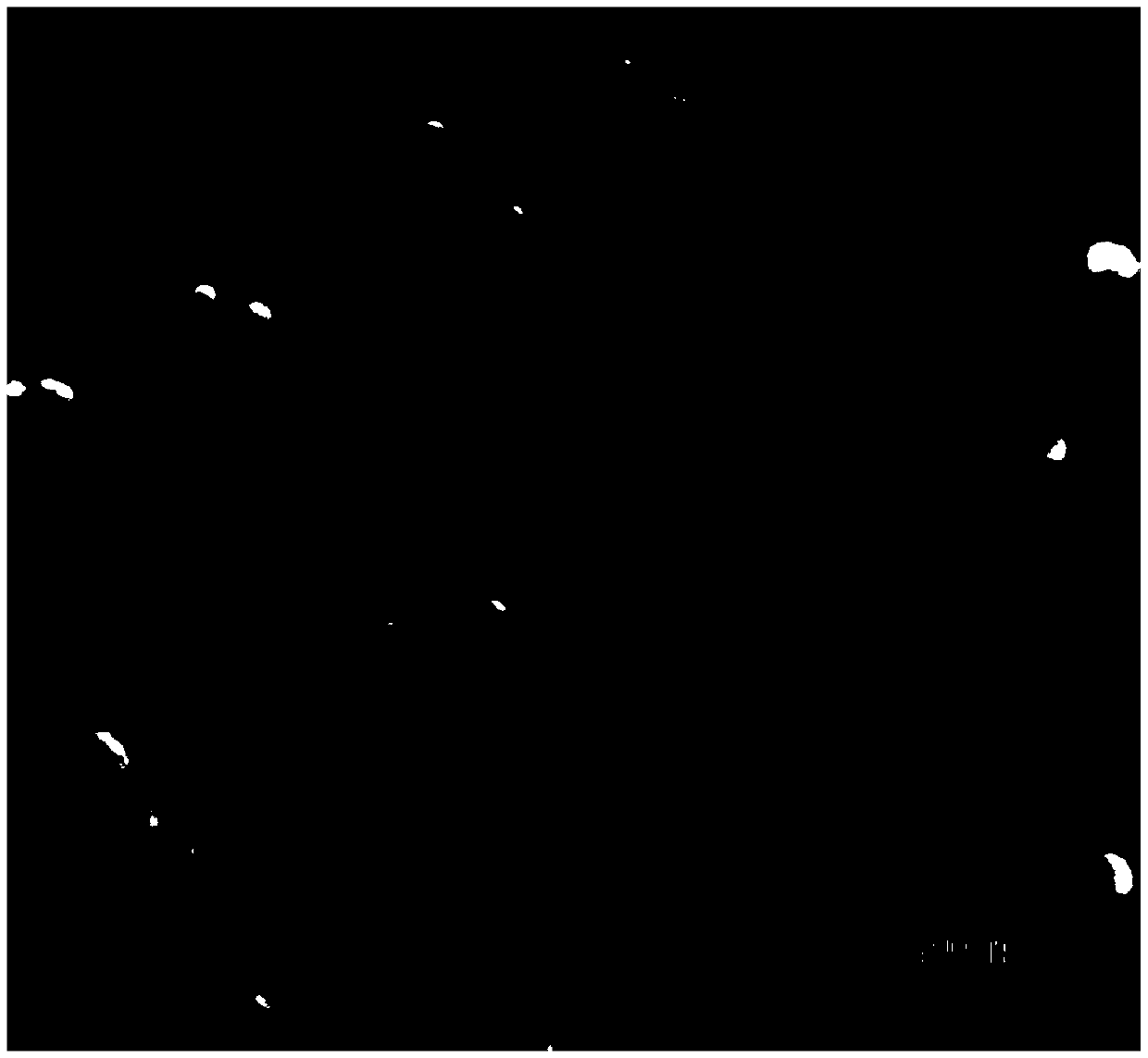 Organic light emitting diode modified by gold nanoparticle and graphene oxide composite structure and preparation method of organic light emitting diode