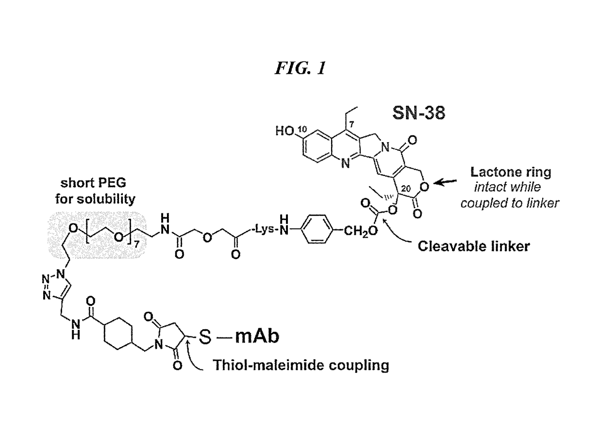 Efficacy of anti-HLA-DR antiboddy drug conjugate IMMU-140 (hL243-CL2A-SN-38) in HLA-DR positive cancers