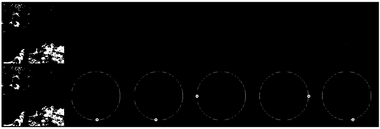 Human pose estimation based on directional image fusion