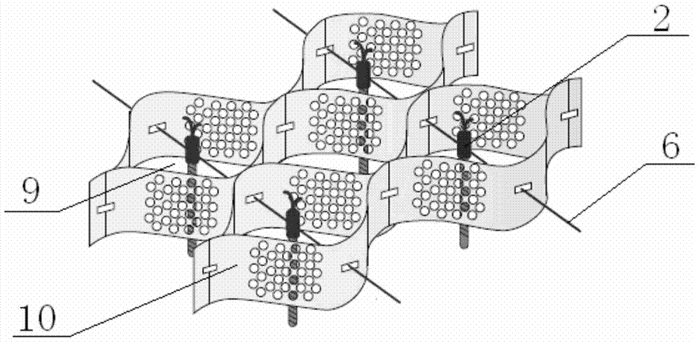 Ecological restoration method of slope