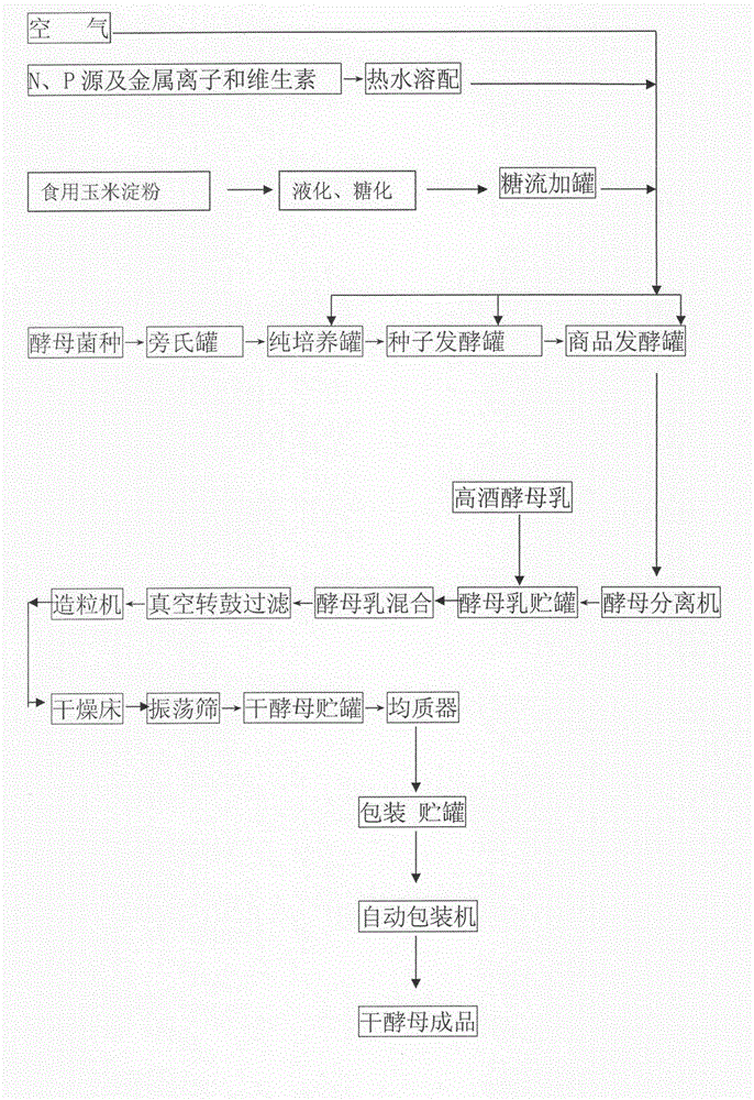 Production method for compound yellow rice wine saccharomycopsis