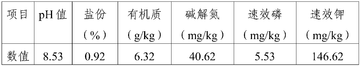 Soil conditioner for improving saline-alkaline soil, and preparation method and application thereof