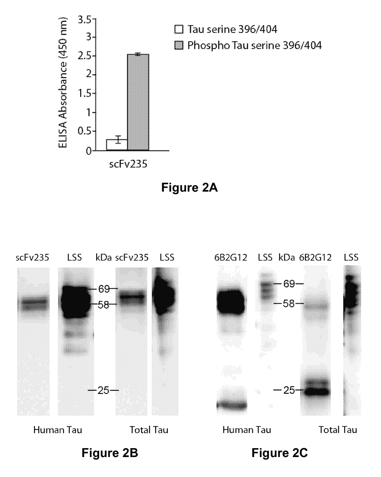 Tau Imaging Ligands and Their Uses in the Diagnosis and Treatment of Tauopathy