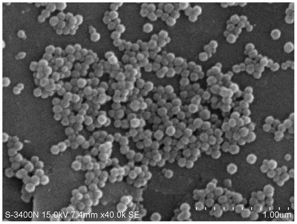 Preparation process for preparing regular spherical calcium carbonate through calcium chloride and ammonia water solution carbonization method