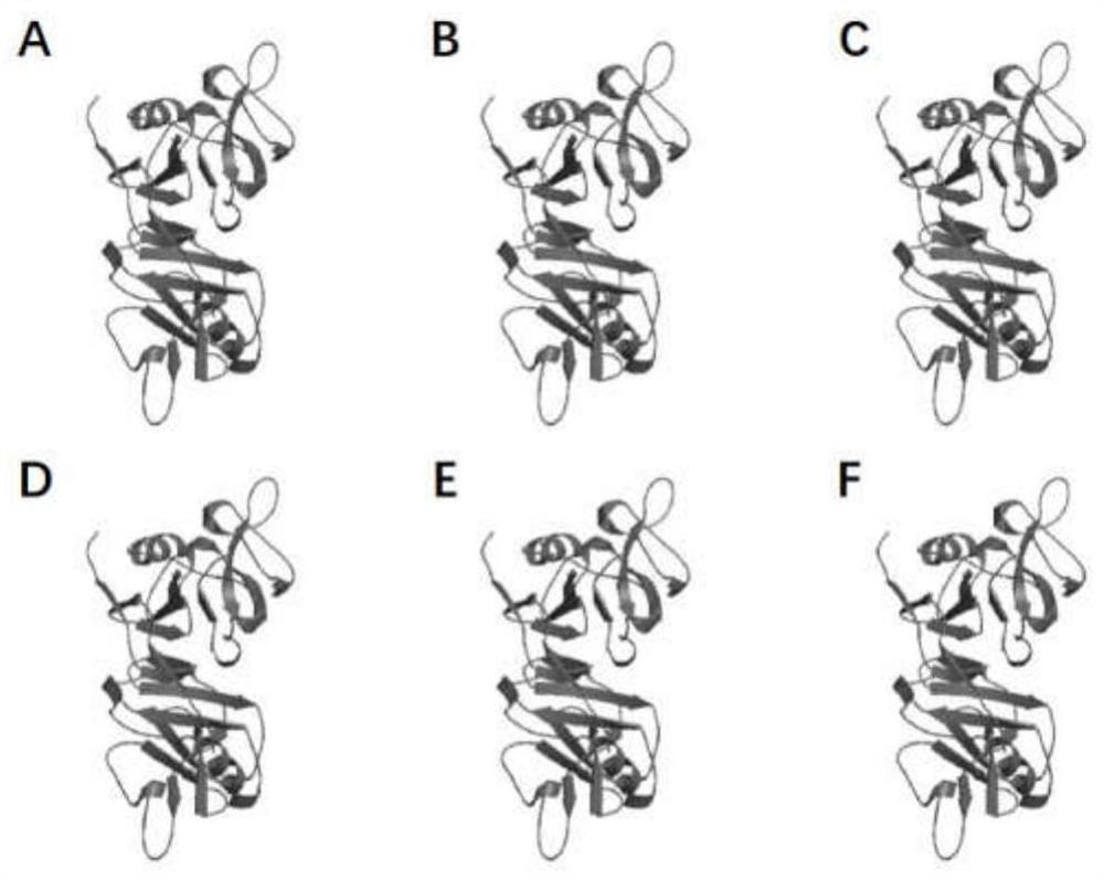 cltx-nkg2d bispecific chimeric antigen receptor cell and its preparation method and application