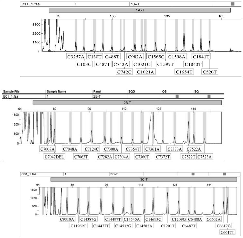 Malignant hyperpyrexia multiplex PCR-LDR molecular diagnosis kit and application thereof