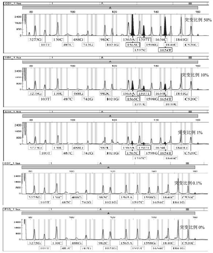 Malignant hyperpyrexia multiplex PCR-LDR molecular diagnosis kit and application thereof