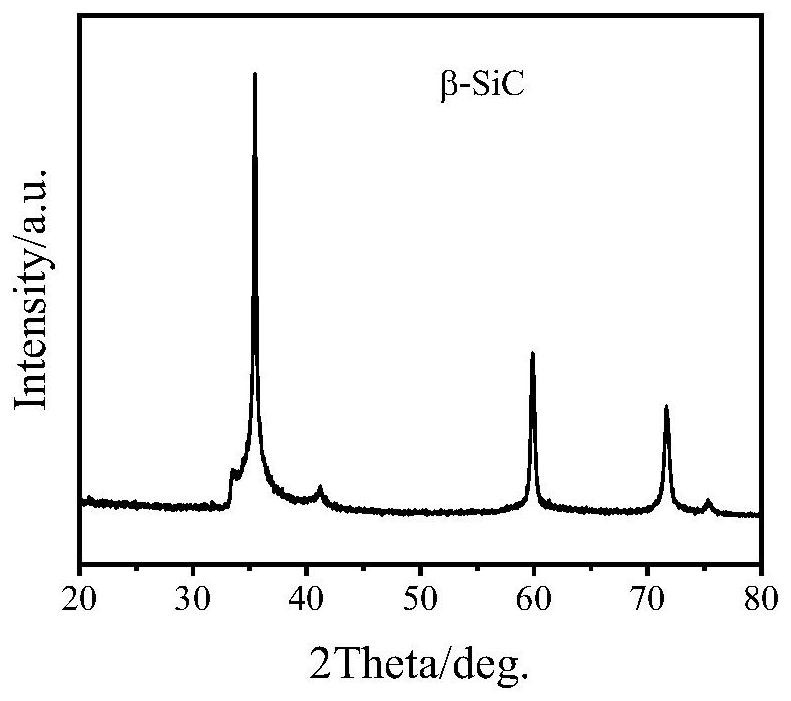 Lightweight and high-strength silicon carbide foamed ceramic and preparation method thereof