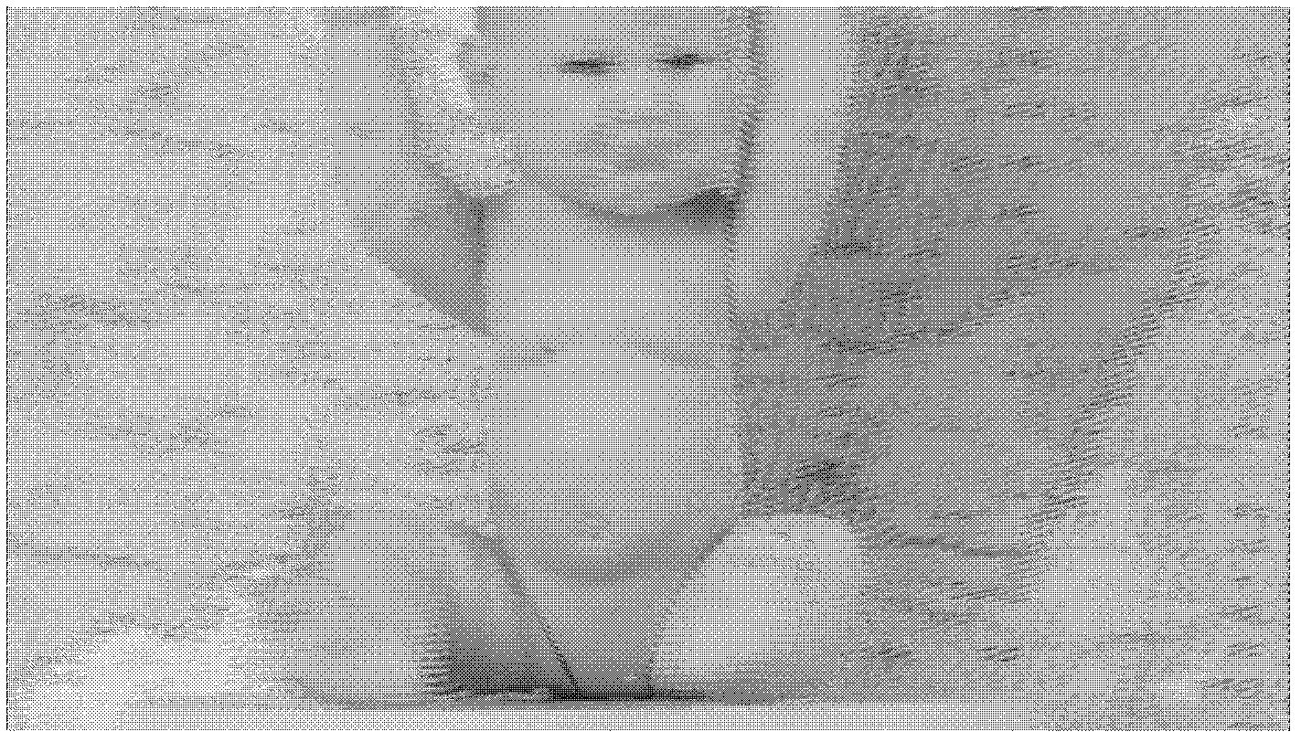 Multi-view stereoscopic image parallax free correction method