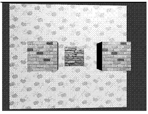 Multi-view stereoscopic image parallax free correction method