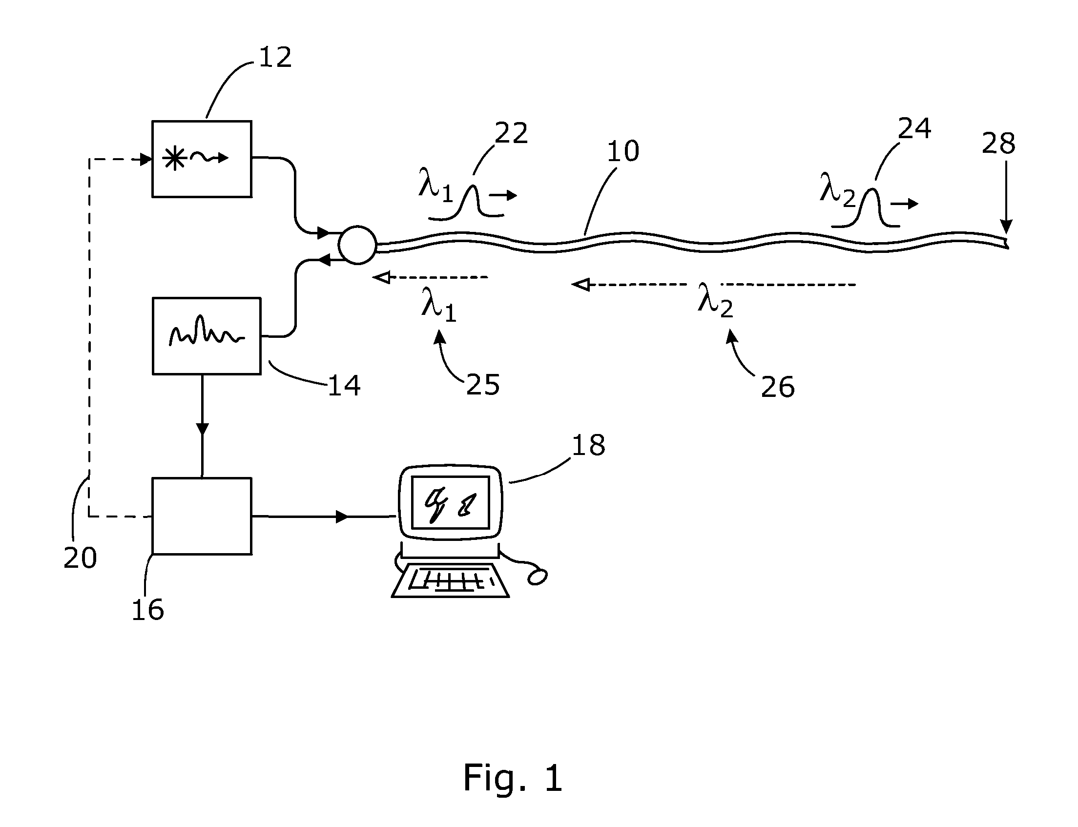 Distributed Optical Fibre Sensor