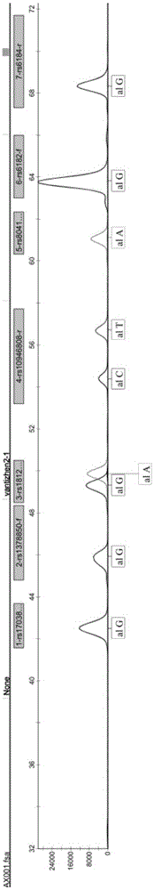 Kit for SNP genotyping of Chinese children short stature susceptibilty genes and utilization method of kit