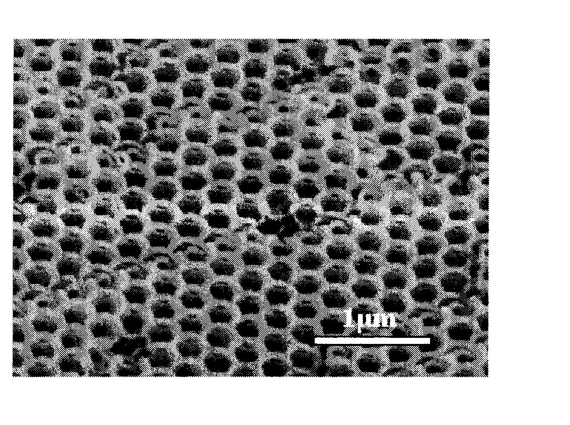 Three-dimensional ordered macroporous alumina and preparation method thereof